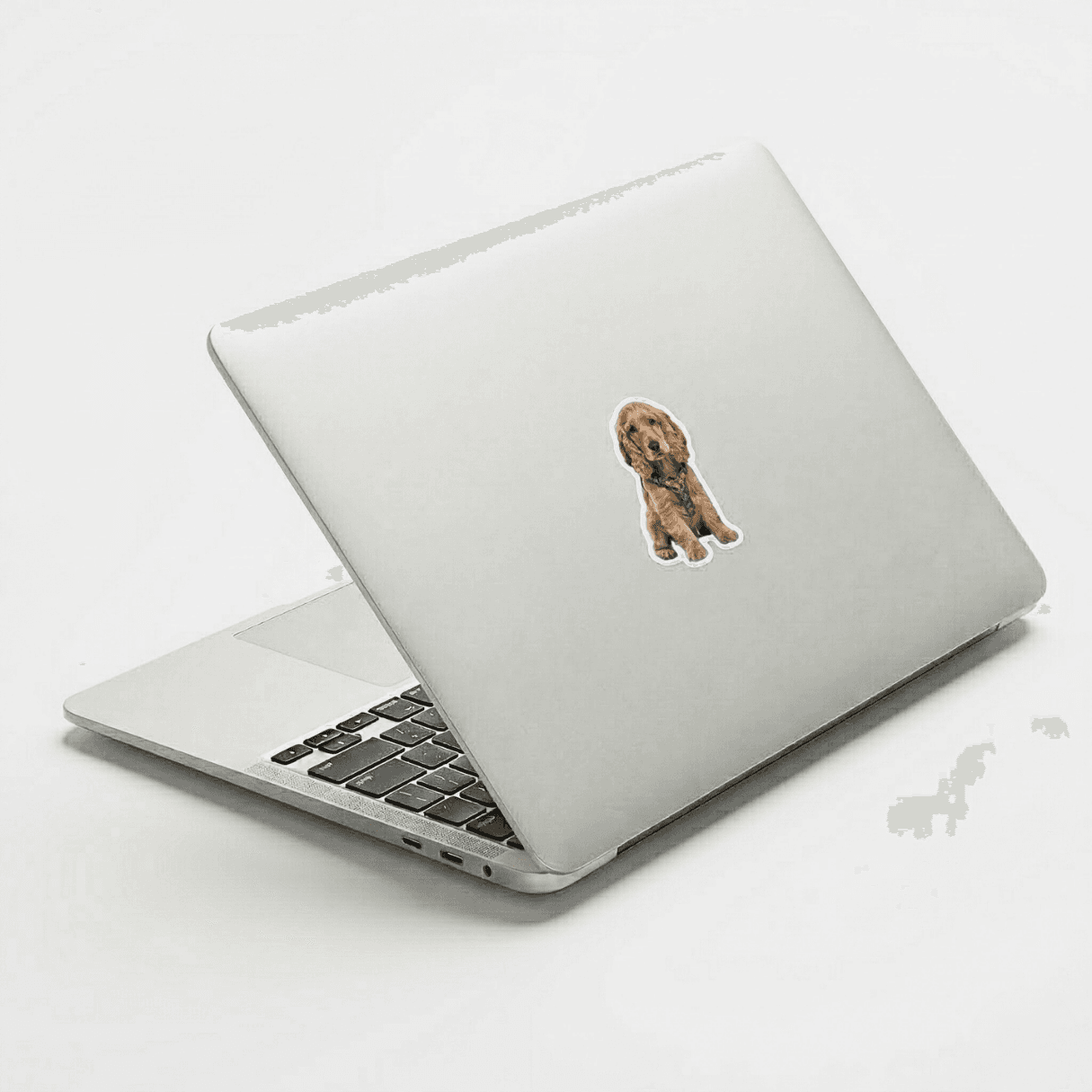 Laptop with Woofyful custom sticker