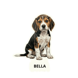 Beagle
