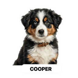 Cooper sticker