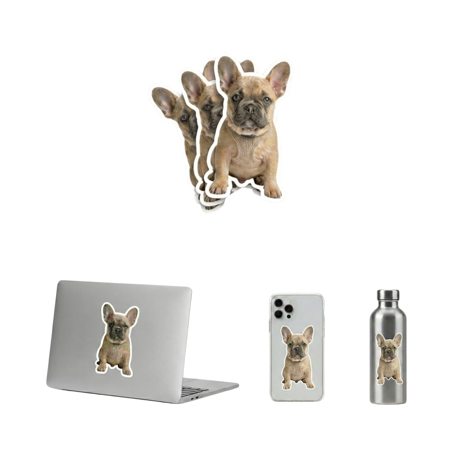 Premium sticker use-case preview