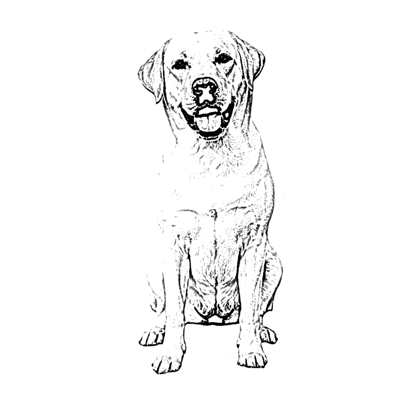 Sunny sticker