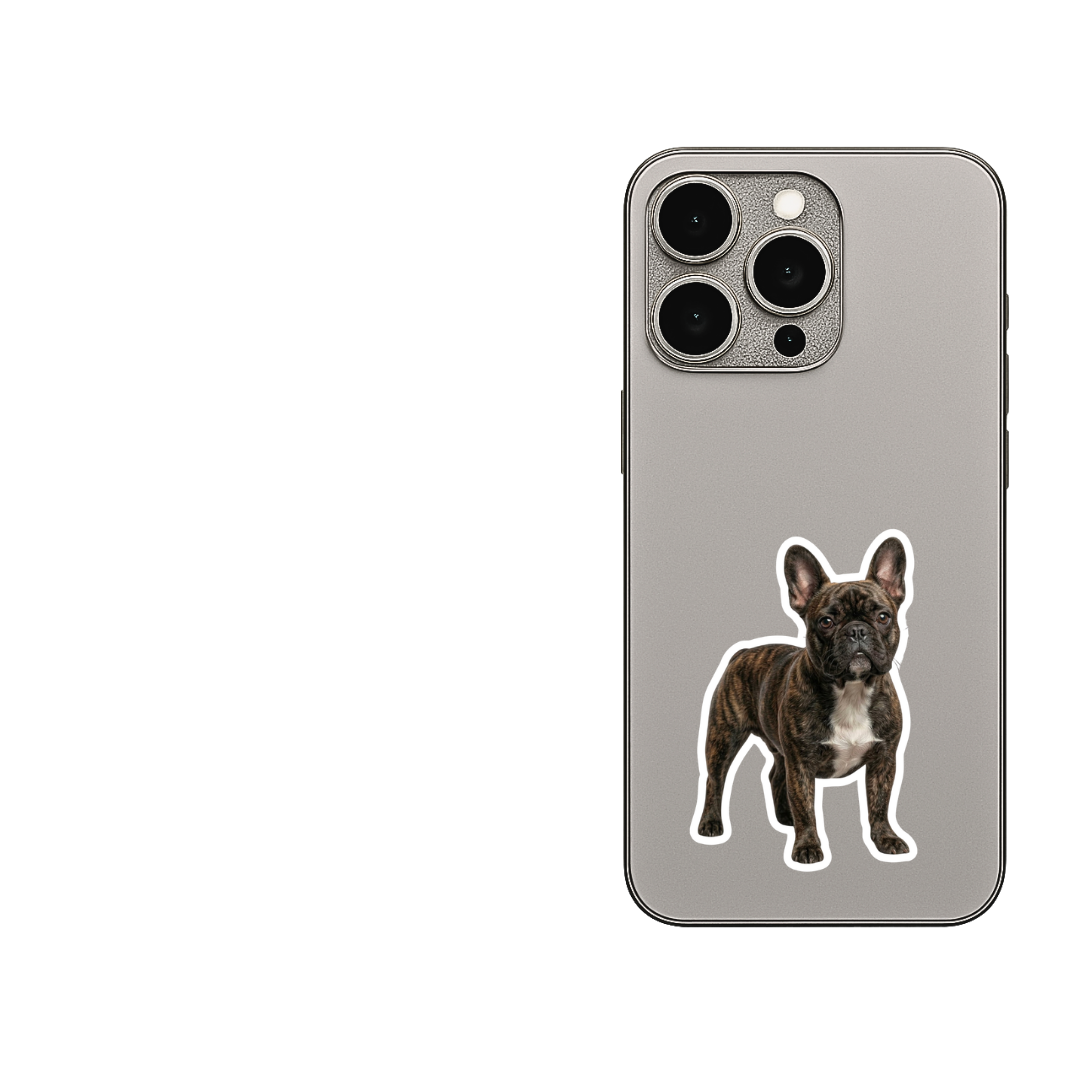 From photo to sticker on product