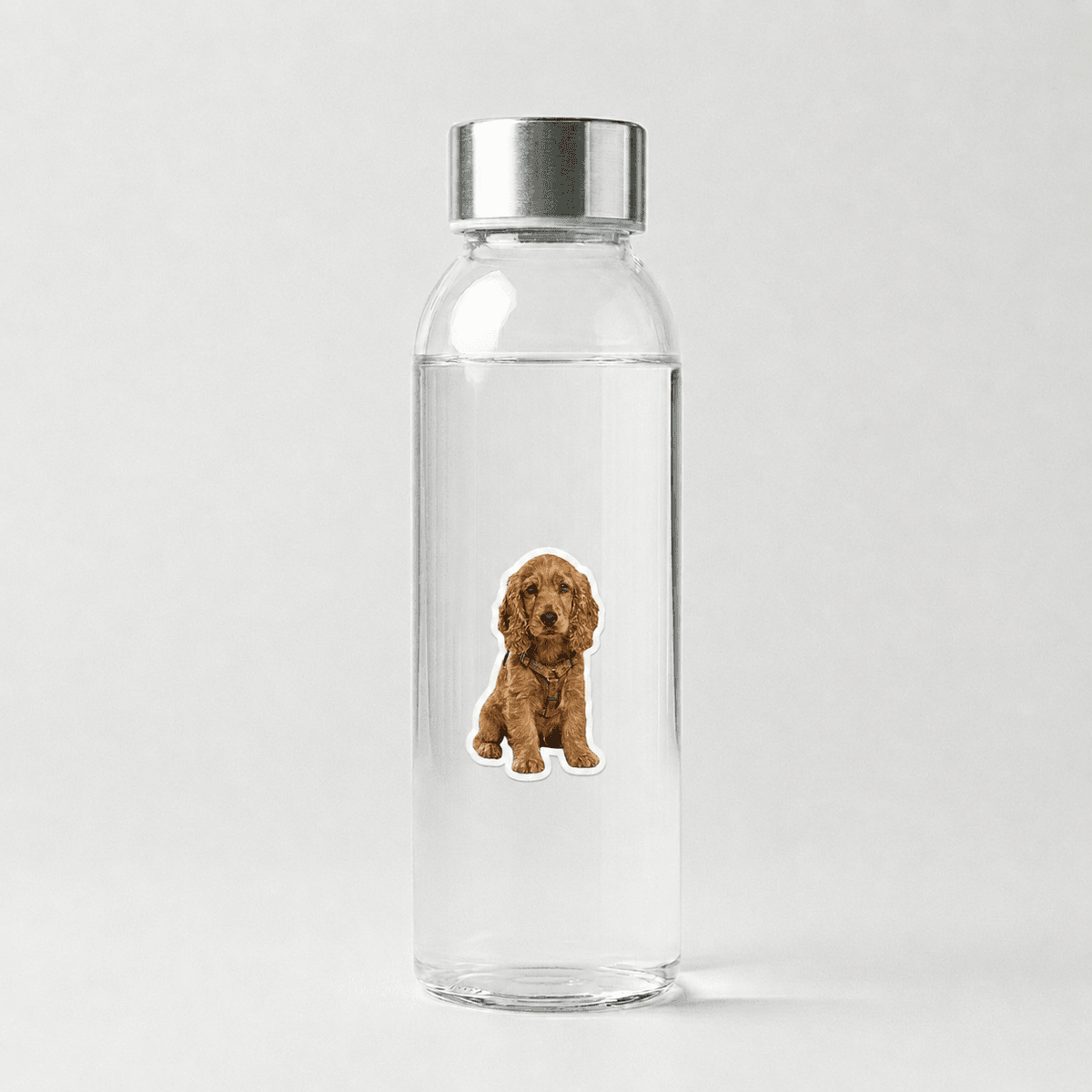 Water bottle with Woofyful custom sticker